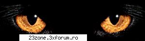 reusit asa aici va dati cu parerea despre forum